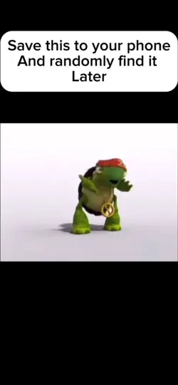 Turtle Rapper
