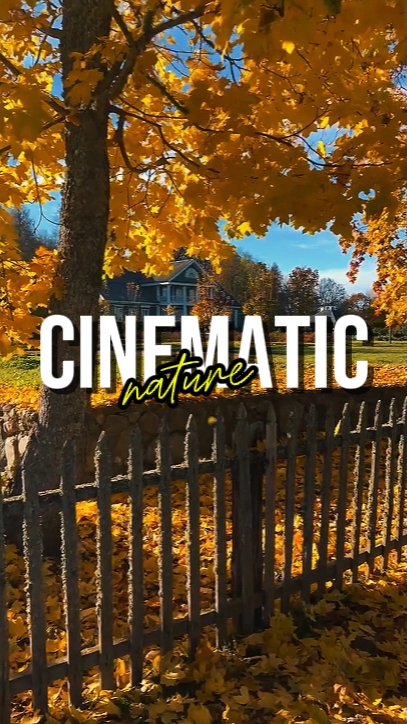 CINEMATIC NATURE