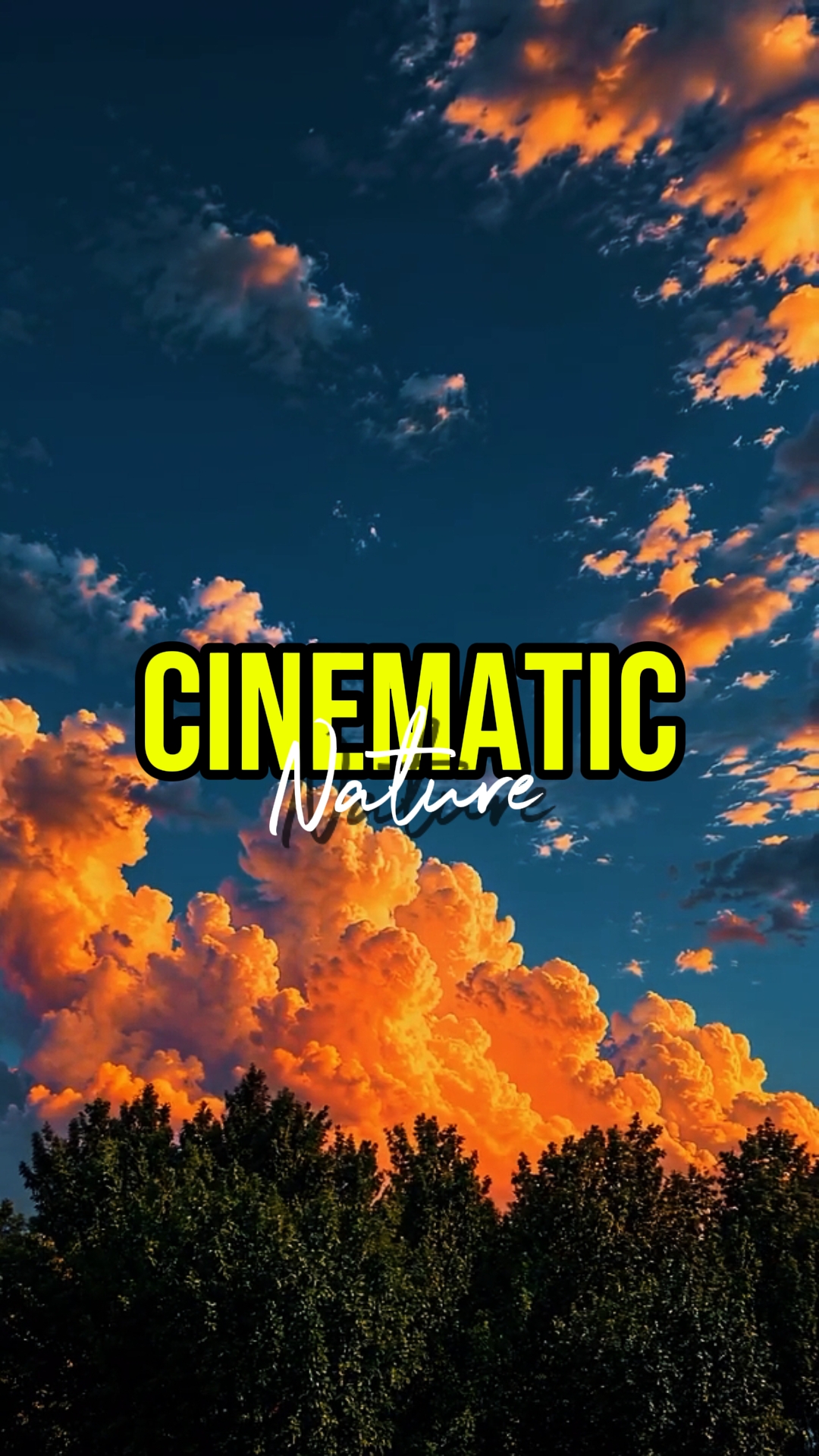 CINÉMATIQUE NATURE