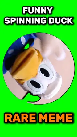 Funny spinning duck 