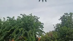 my vlog