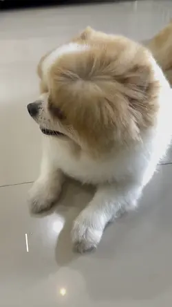 คำพูดน่ารักๆ