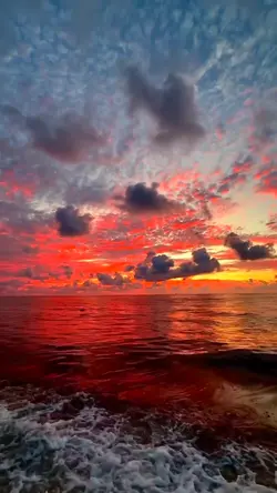 Filter senja