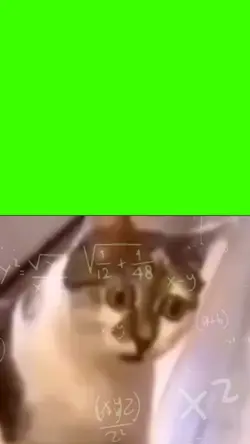 math meme