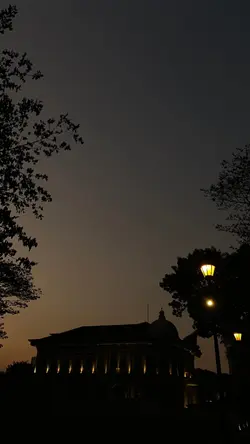 عبدالرحمن مسعد 