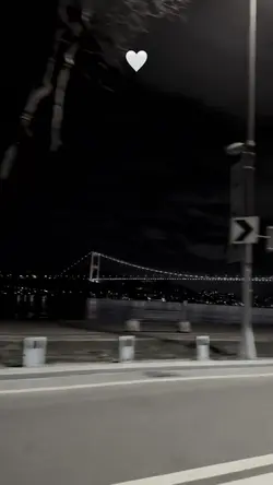 nerden sevdim ben