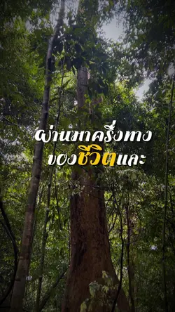 ผ่านมาครึงทางของชีวิตและ