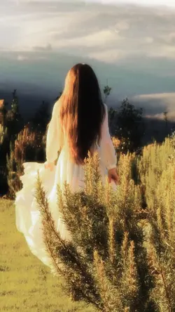 Aesthetic Movie Film