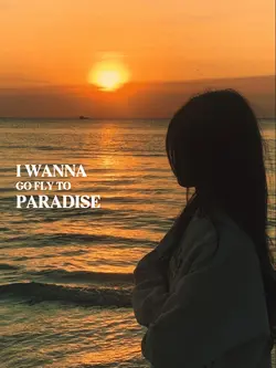 I wanna go Fly 