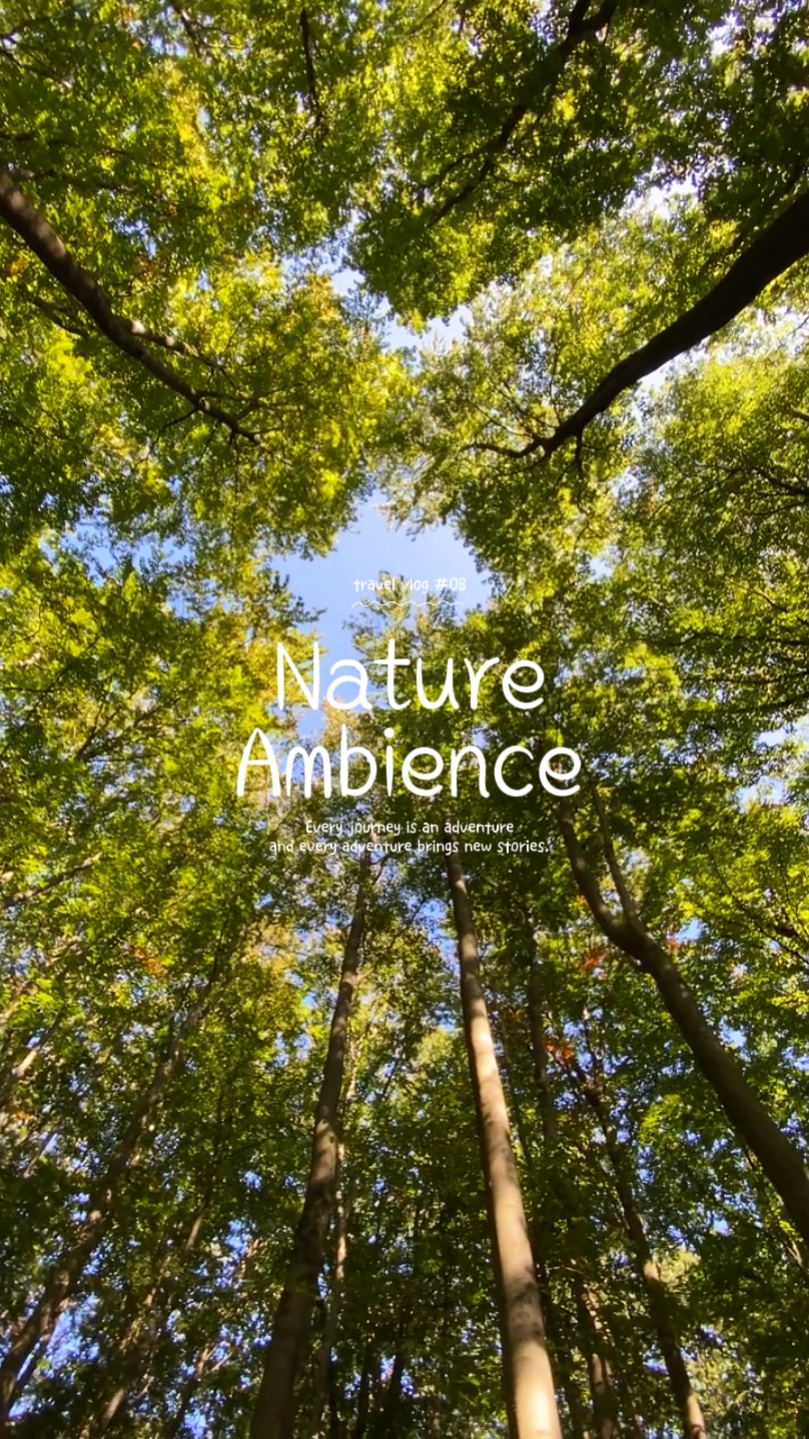 Nature Vibes