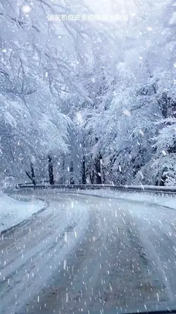 Snow Trend