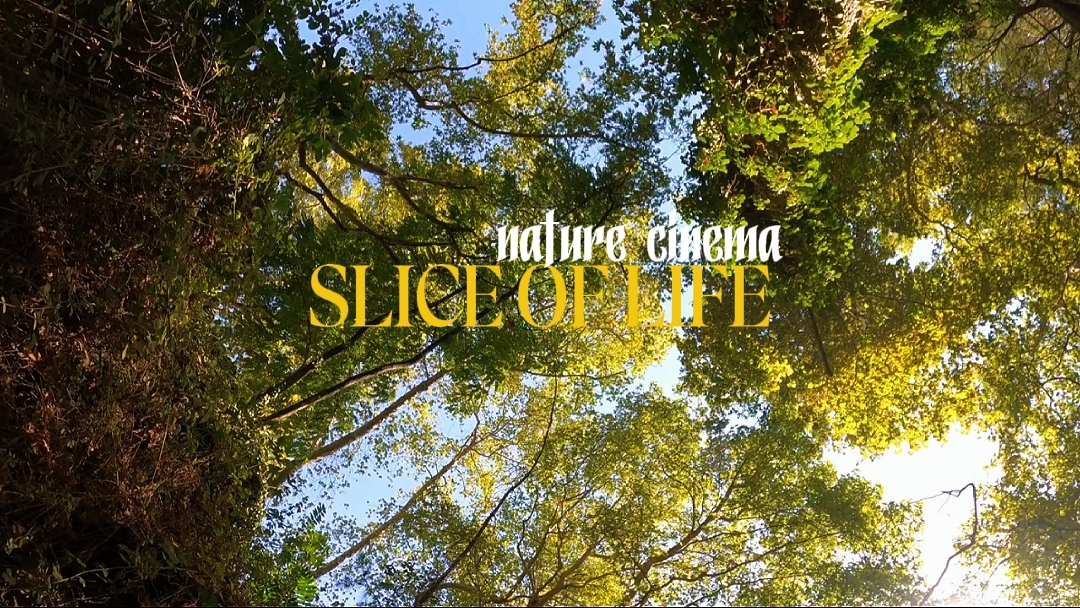 NATURE CINEMATIC