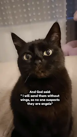 My angel