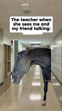 Funny video 