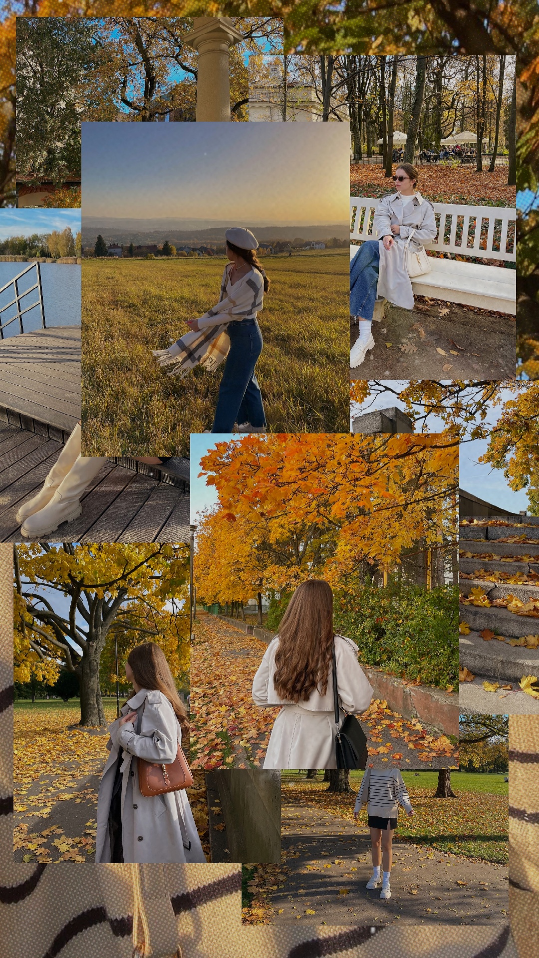 Autumn vibes 
