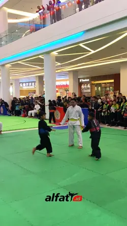 Pencak silat