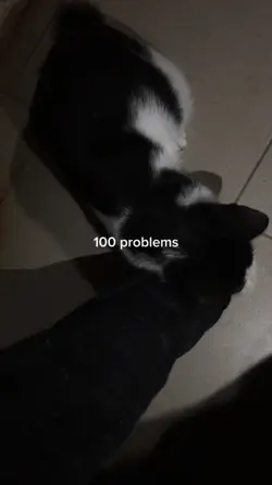 100 problems