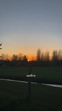 เเผลที่ใจหายช้า