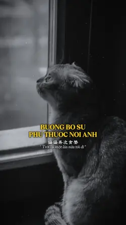 有点混乱有点慌乱