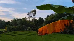 Cinematic 8 clip