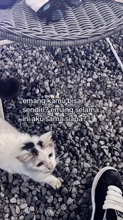 emang kamu bisa