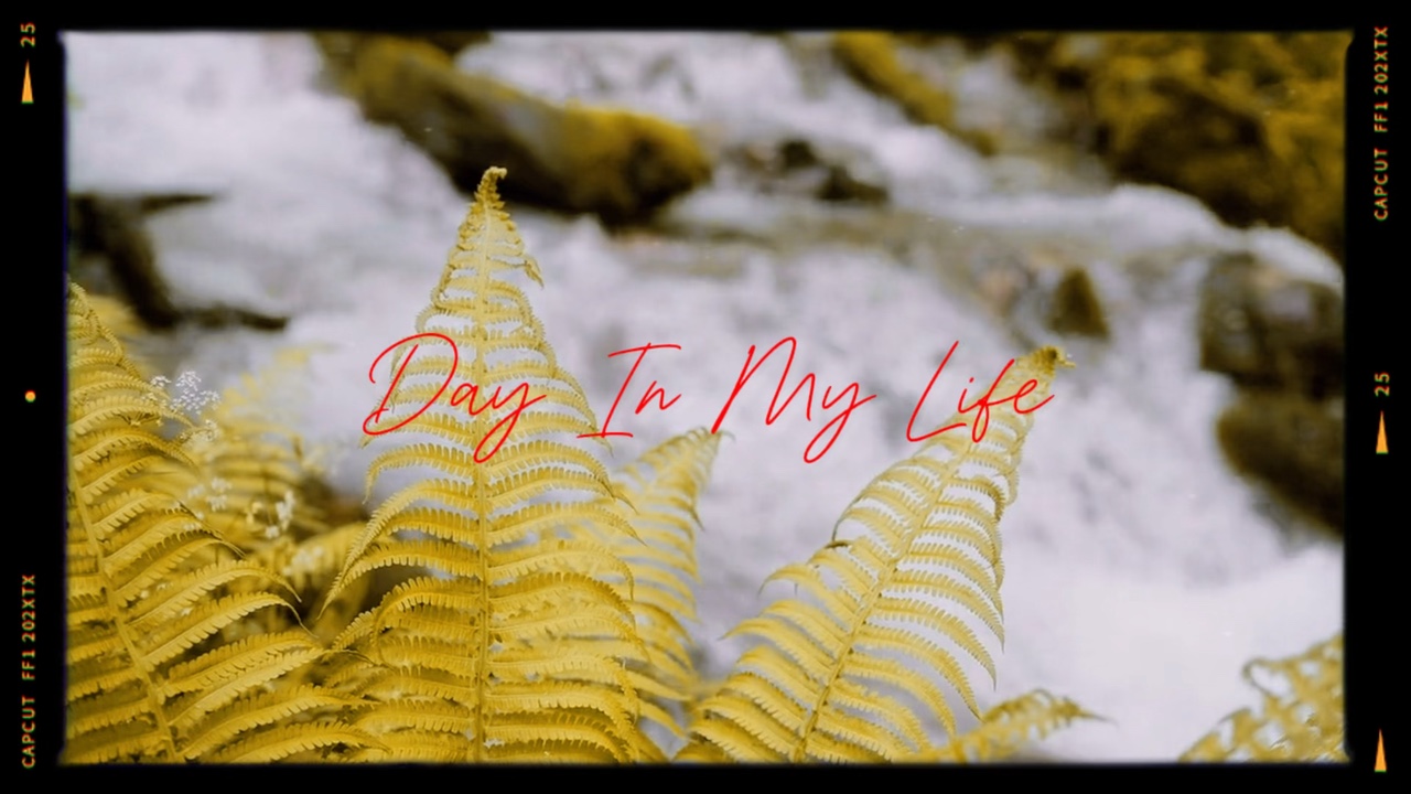 Daily intro
