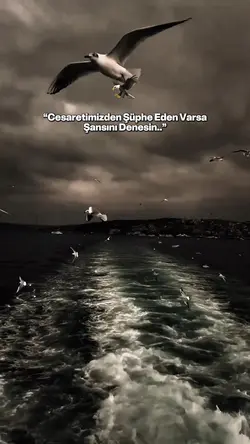 Racon sozlerim