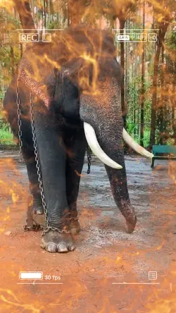 ธรรมชาติสวยงาม