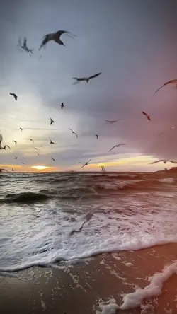 បទចិនកុំពុងល្បី..🥺