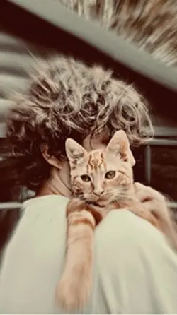 New Template ❤️🥰