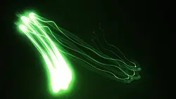 flash of light