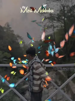 ফুলও কি মালিতা হো 