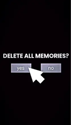 delete all memories
