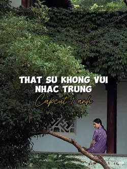 Thật sự không vui