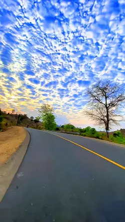 1vid hd jernih