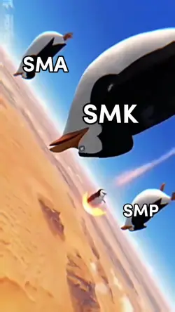 SD ERAA
