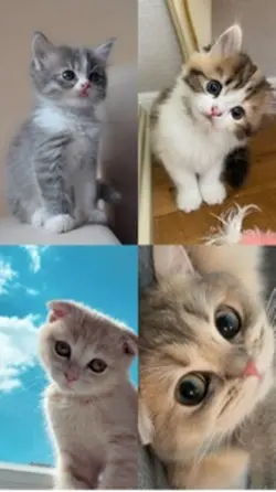 Yeni şablon geldi 😍💓