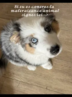 Signes 😢🥺