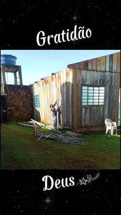 31 fotos
