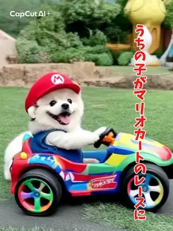 うちの子がマリオカートレースに