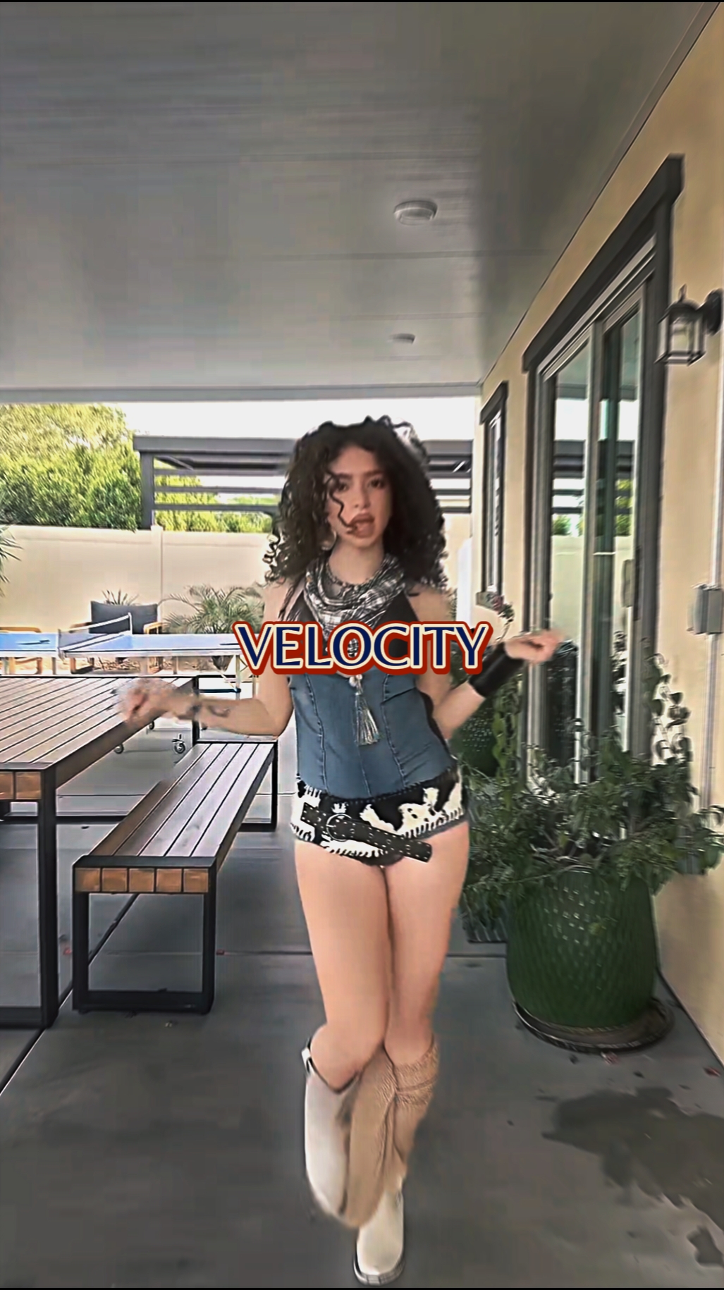 Velocidade