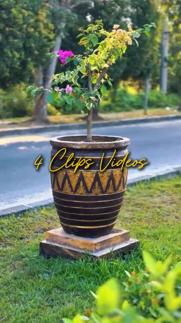4 Clips Videos