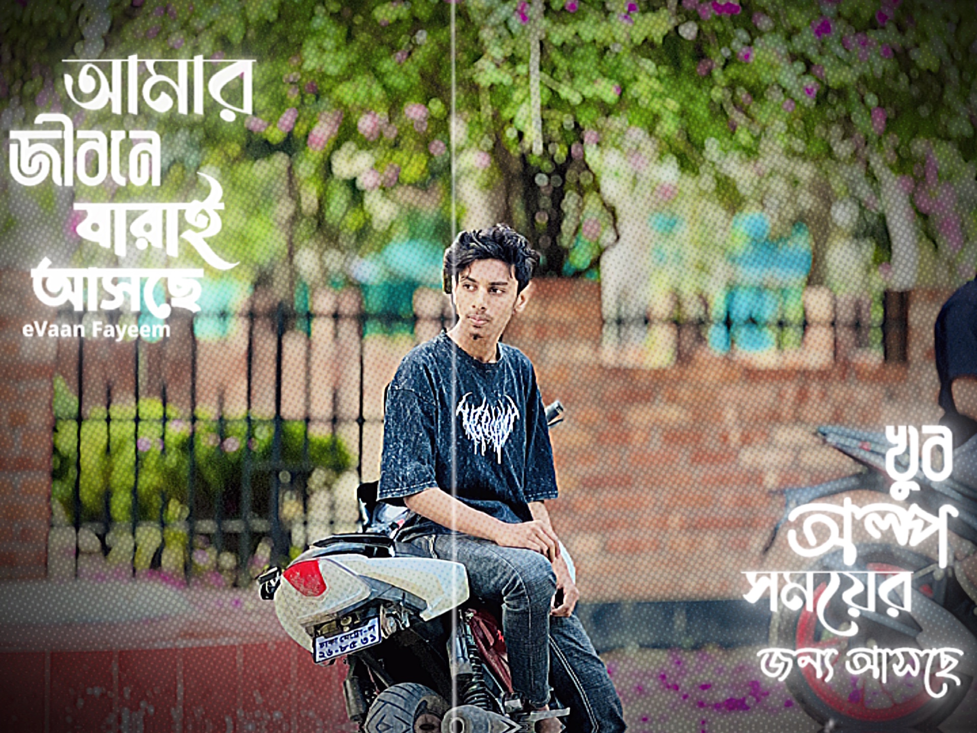 Cover Picture