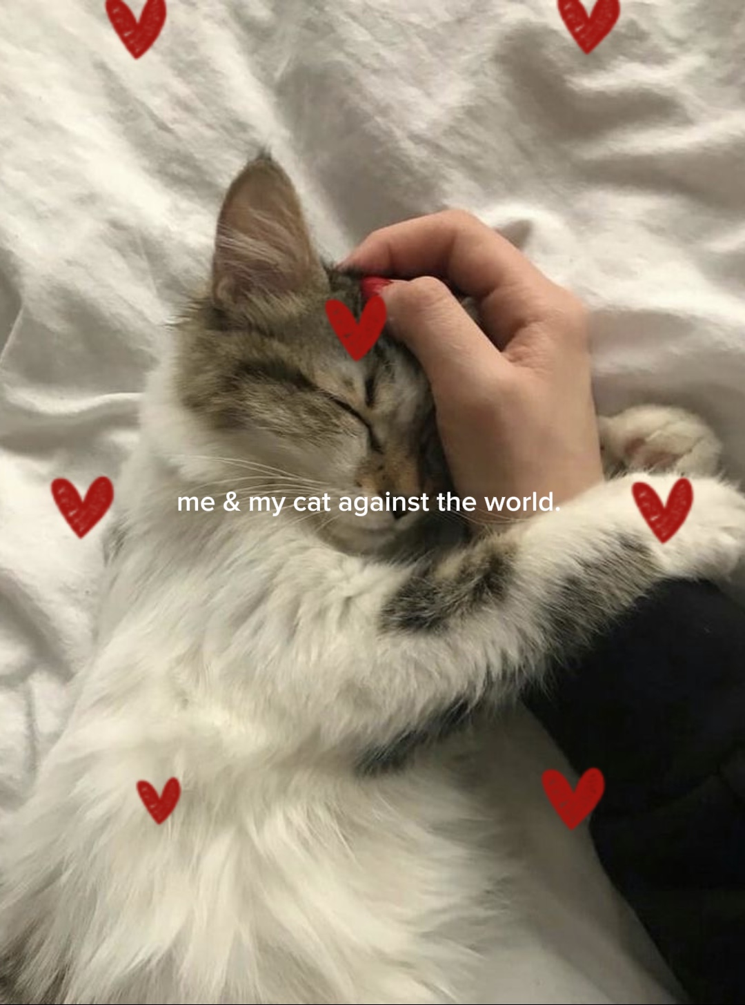 Yo y mi gato 