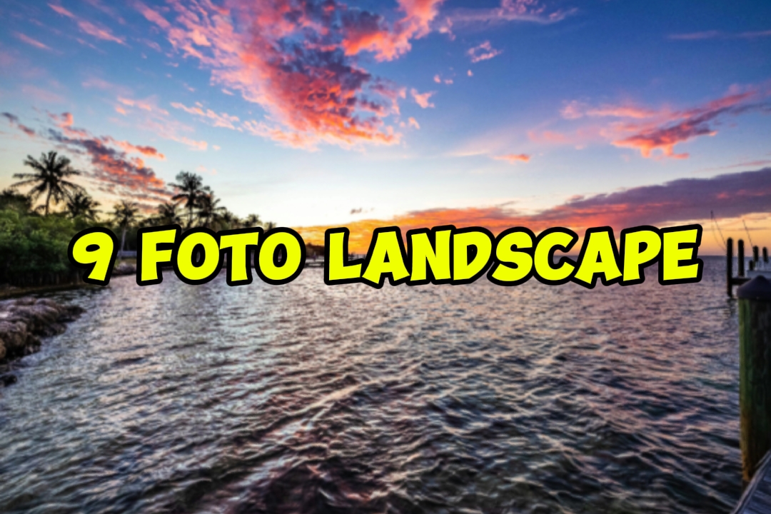 9 photos de paysage