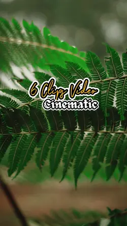 6 Clips Video