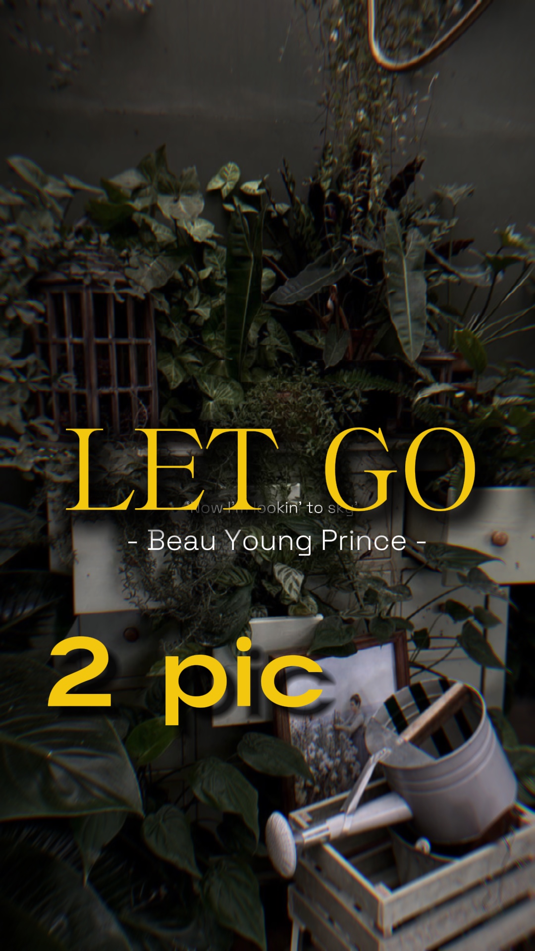 Cover Picture