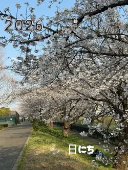 小さな記録｜日常