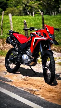 Status Moto