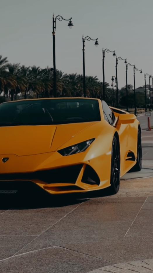 Sport Cars 